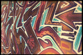 398008 Untitled A4 Photo Print