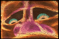 398009 Pink Nose A4 Photo Print