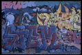 398023 Stem A4 Photo Print