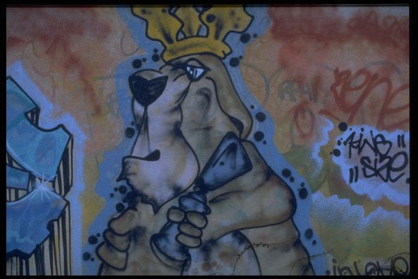 398031 King Size A4 Photo Print