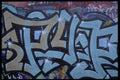 398050 Untitled A4 Photo Print