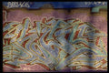 398083 Arrow Art A4 Photo Print