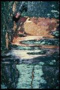 399007 Wild Cherry A4 Photo Print