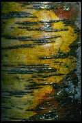 399012 Common Birch A4 Photo Print