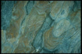 399036 Horse Chestnut A4 Photo Print