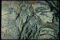 399045 Not Identified A4 Photo Print