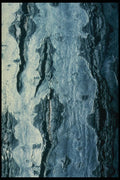 399048 Poplar A4 Photo Print
