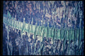 399074 Palm Tree A4 Photo Print