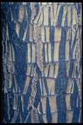 399085 Dracaena A4 Photo Print