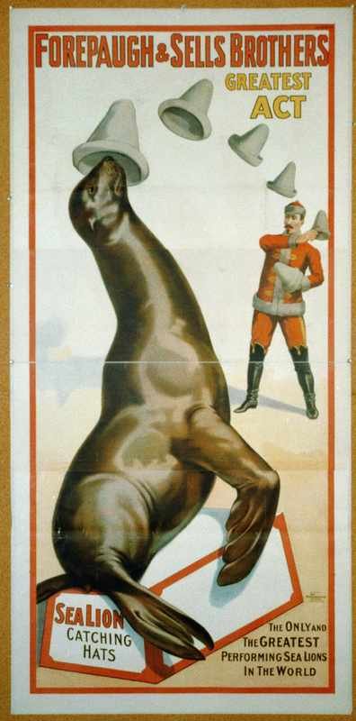 3b52557u Vintage Advert A4 Photo Print