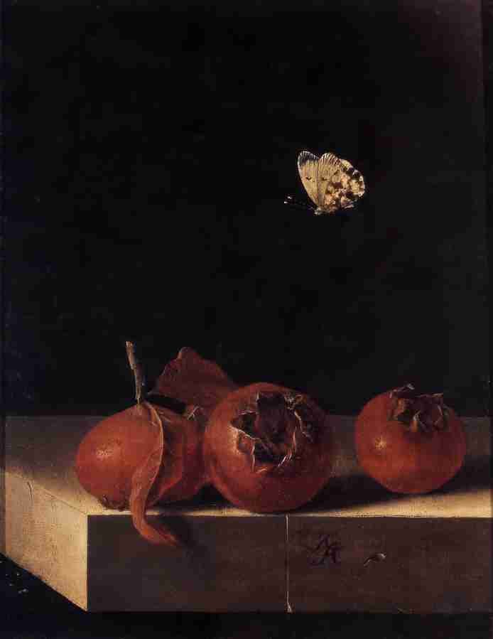 3medlars Art A4 Photo Print UK
