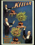 4 kellar rose tree magic poster Advert A4 Photo Print