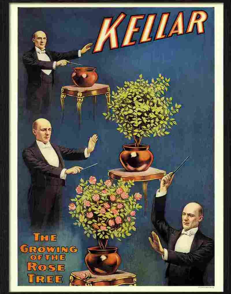 4 kellar rose tree magic poster Advert A4 Photo Print