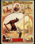 4 proffesor bristols equescurriculum magic poster Advert A4 Photo Print