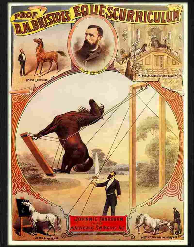 4 proffesor bristols equescurriculum magic poster Advert A4 Photo Print