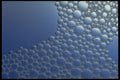 403003 Bubbles A4 Photo Print