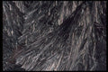 403015 Ice Crystals A4 Photo Print