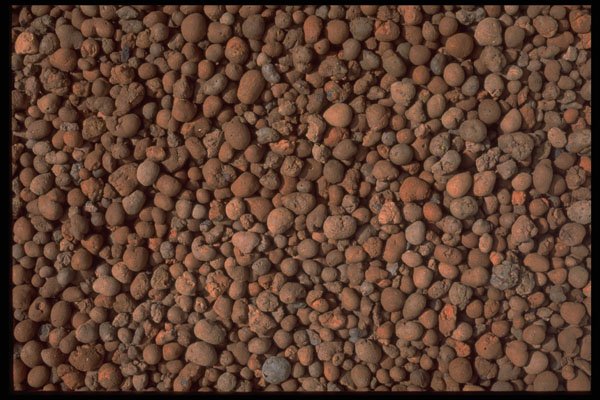 403018 Garden Pebbles A4 Photo Print
