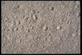 403021 Sand A4 Photo Print