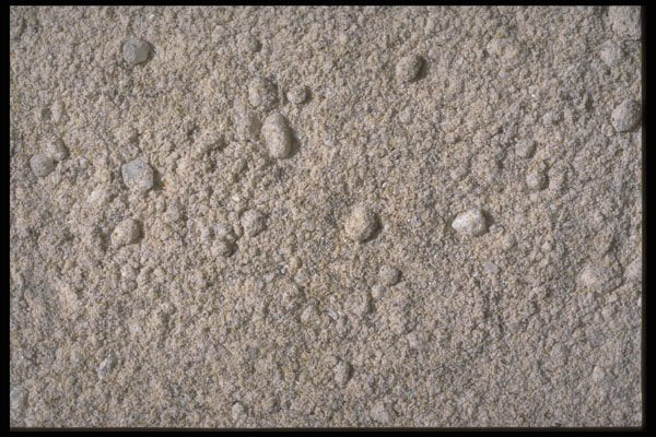 403021 Sand A4 Photo Print