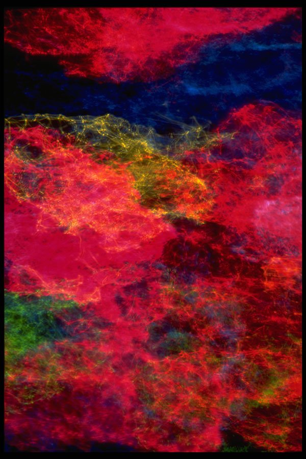 403024 Abstract Light A4 Photo Print