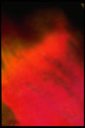 403027 Abstract Soil A4 Photo Print