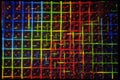 403033 Grid A4 Photo Print