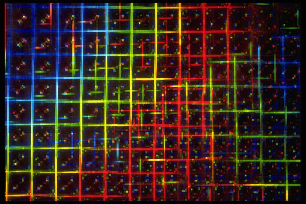 403033 Grid A4 Photo Print
