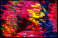 403034 Abstract Light A4 Photo Print