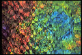 403040 Rippled Colors A4 Photo Print