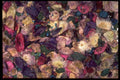403047 Pot pourri A4 Photo Print