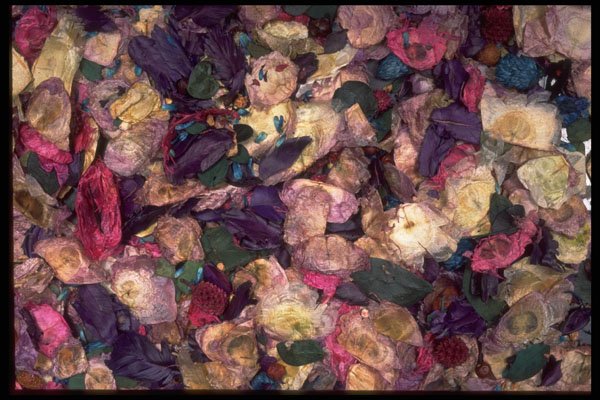 403047 Pot pourri A4 Photo Print