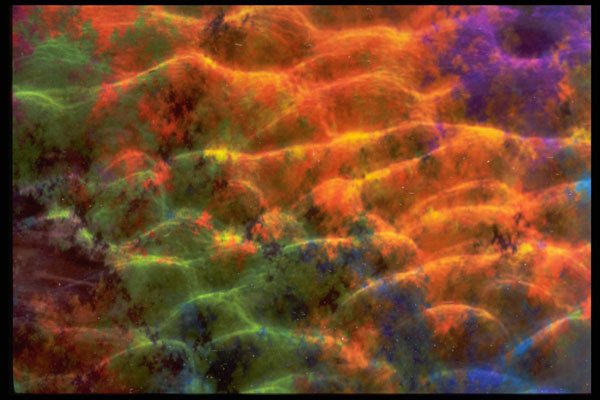 403065 Abstract Water A4 Photo Print