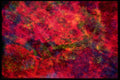 403084 Abstract Light A4 Photo Print