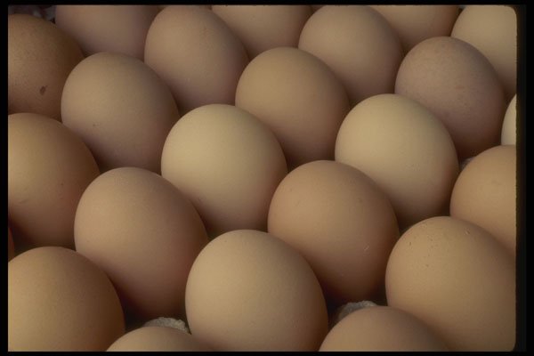 404000 Eggs A4 Photo Print