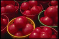404002 Tomatoes A4 Photo Print