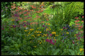 404025 Leaf And Flower Pattern A4 Photo Print