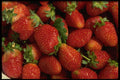 404026 Strawberries A4 Photo Print
