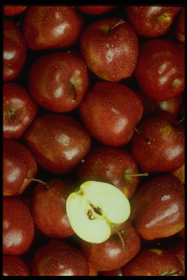 404028 Apples A4 Photo Print