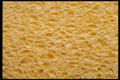 404029 Sponge A4 Photo Print