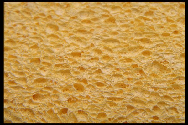 404029 Sponge A4 Photo Print