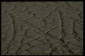 404032 Erosion Pattern A4 Photo Print