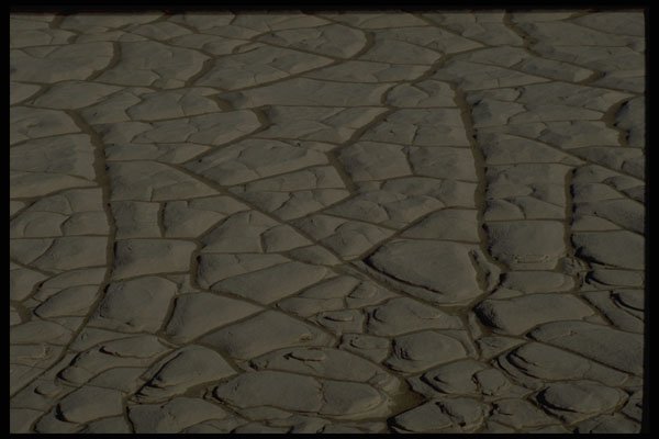 404032 Erosion Pattern A4 Photo Print