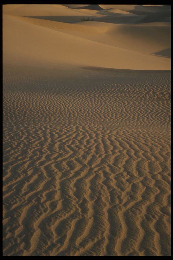 404039 Sand Patterns A4 Photo Print