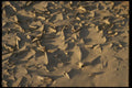 404042 Erosion Pattern A4 Photo Print
