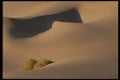 404044 Phantom Of The Dune A4 Photo Print