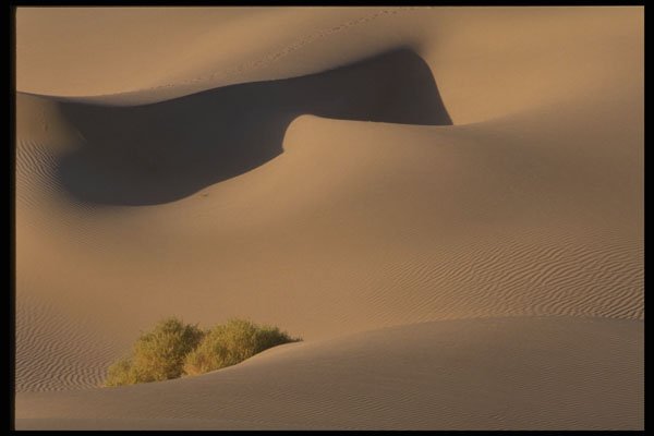 404044 Phantom Of The Dune A4 Photo Print