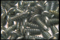 404051 Screws A4 Photo Print