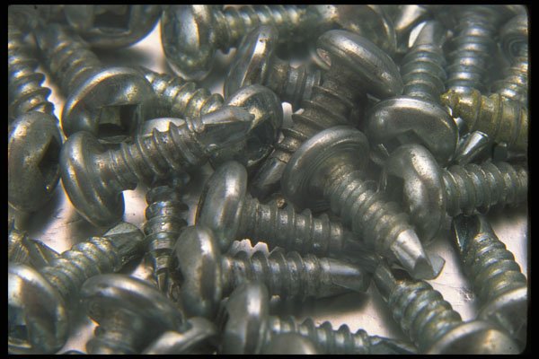 404051 Screws A4 Photo Print