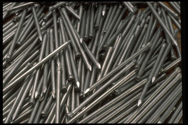 404055 Nails A4 Photo Print